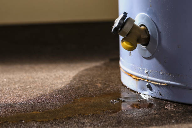 Best Commercial water damage restoration  in Sunray, TX