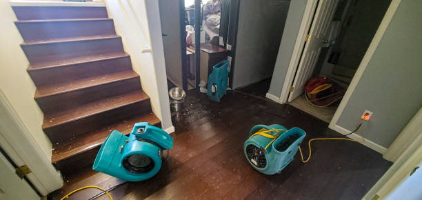 Best Water damage cleanup near me  in Sunray, TX