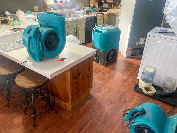  Sunray, TX Water damage restoration Pros