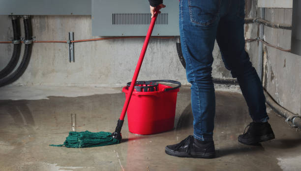 Best Basement water damage restoration  in Sunray, TX