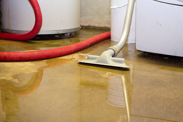 Best Local water damage restoration  in Sunray, TX