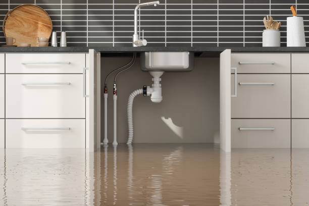 Best Sewage cleanup and water damage restoration  in Sunray, TX